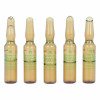 Fiale Endoncare Tensage Rigenerativa (10 x 2 ml)