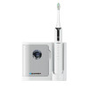 Spazzolino da Denti Elettrico Blaupunkt AGDBLDC007