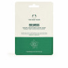 Maschera Idratante e Tonificante The Body Shop Edelweiss (1 Unità)