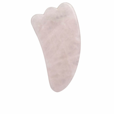 Spazzola per pulizia viso Paloma Beauties HIGIENE Y BIENESTAR Rosa