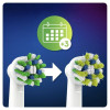 Ricambio per Spazzolino da Denti Elettrico Oral-B EB 50-3 FFS Cross Action