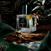 Profumo Unisex Vertus Bengal EDP 100 ml