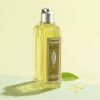 Gel Doccia L'Occitane En Provence   Detergente Verbena 250 ml