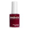 smalto Andreia Nº 102 (14 ml)