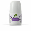 Deodorante Dr.Organic LAVANDA 50 ml