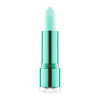 Balsamo Labbra Catrice Hemp & Mint 010-high on life Brillante (4,2 g)