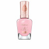smalto Sally Hansen Color Therapy Sheer Nº 537 Tulle Much 14,7 ml