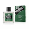 Balsamo per la Barba Proraso Green Tea