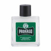 Balsamo per la Barba Proraso Green Tea