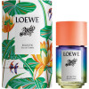 Profumo Unisex Loewe   EDT 50 ml Paula's Ibiza Eclectic
