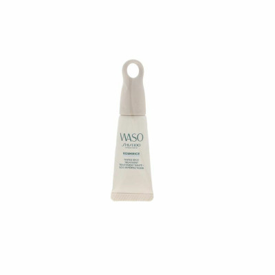 Correttore Antimacchie Shiseido Natural Honey (8 ml)